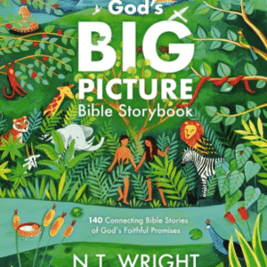 God's Big Picture Bible Storybook